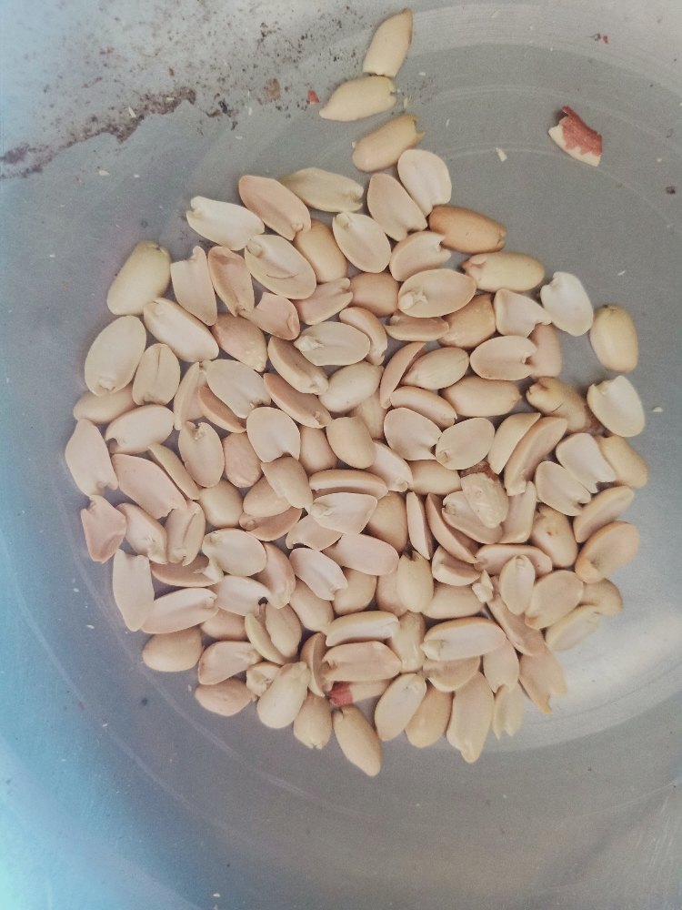 Roasted Split Peanuts 35/40