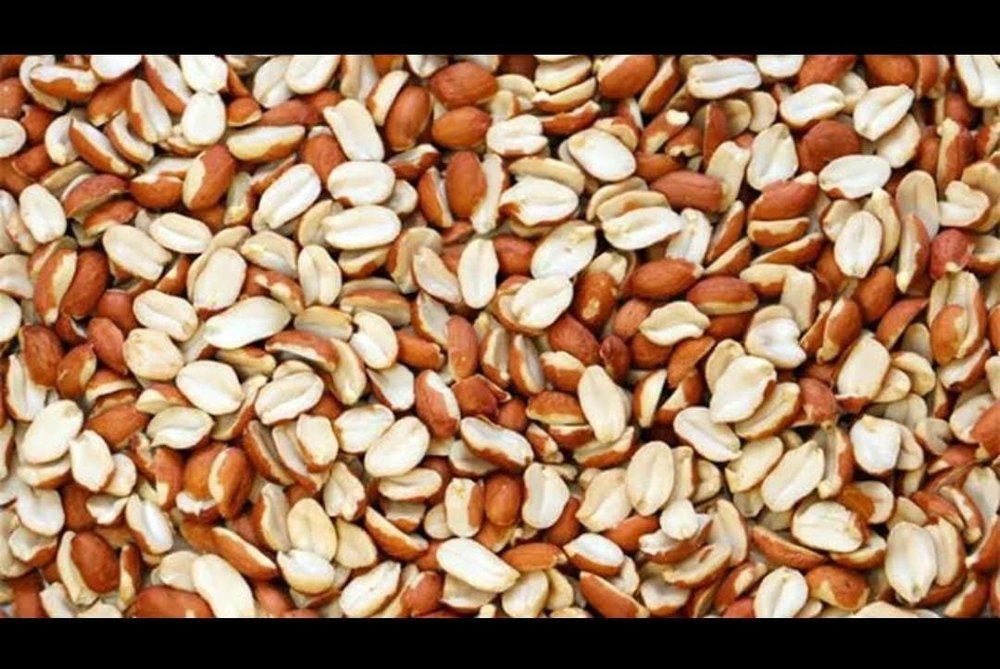 Raw Split Peanuts, Packaging Size: 20-50kg PP/ Vacuum