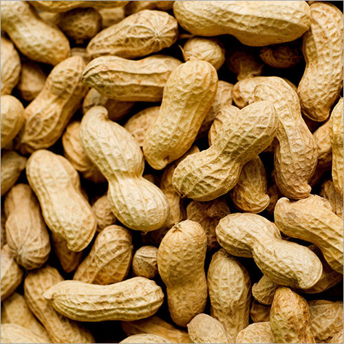 Groundnuts With Shell