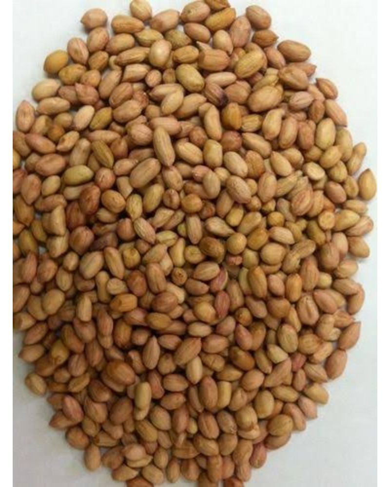 Raw Peanut Kernels, Packaging Type: Loose