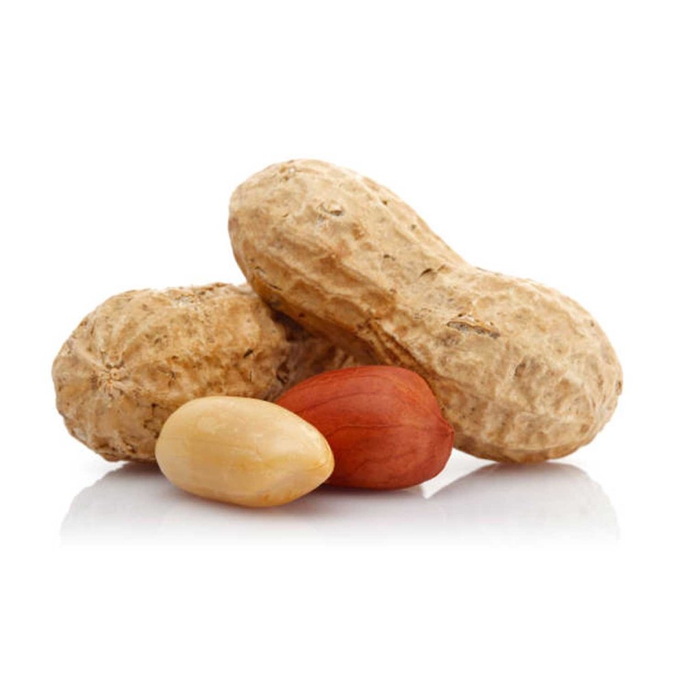 Organic Bold Peanut, Packaging Size: Loose