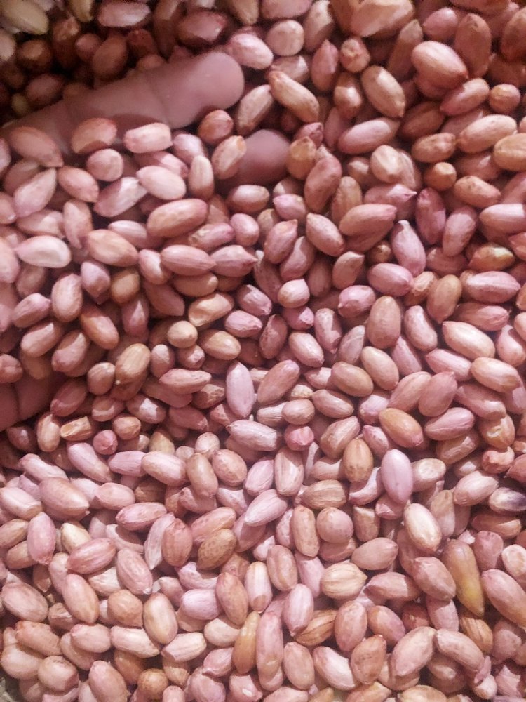 Raw Peanut Kernels, Packaging Type: Loose