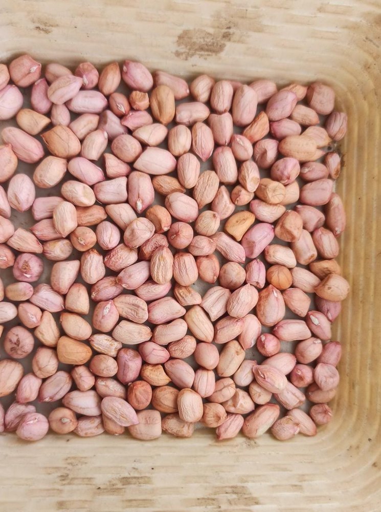 Bold Red Skin Whole Groundnut Seed