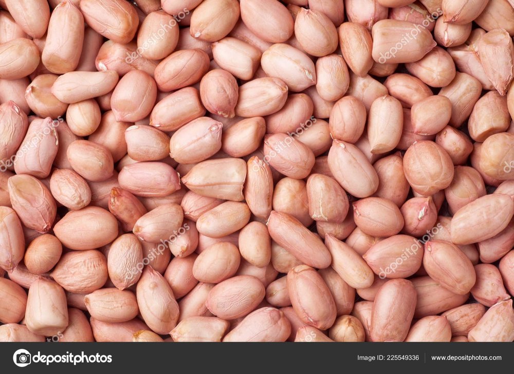 Groundnut Kernels