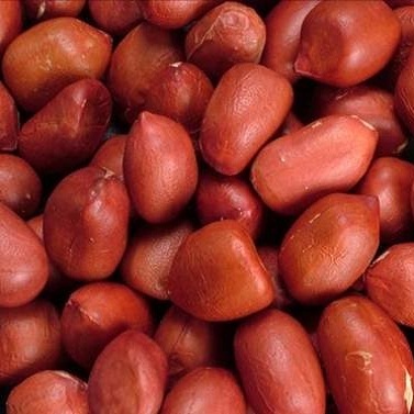 Red Skin Peanut Kernel
