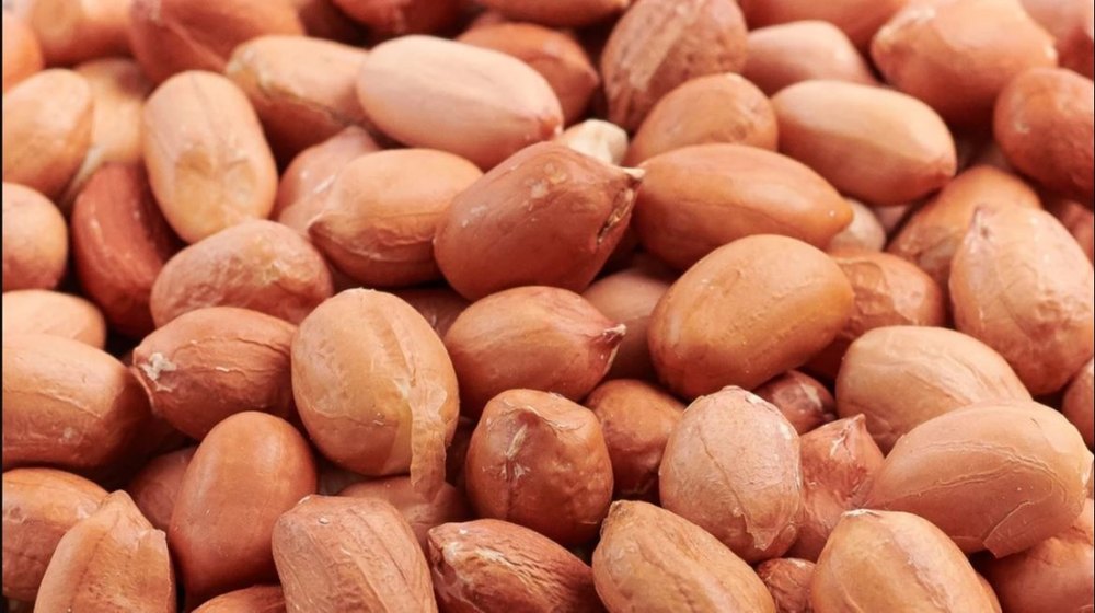 Redskin Peanut, Packaging Type: PP Bag, Packaging Size: 50kg