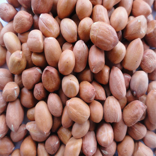 Red Skin Peanut, Packaging Type: Packet