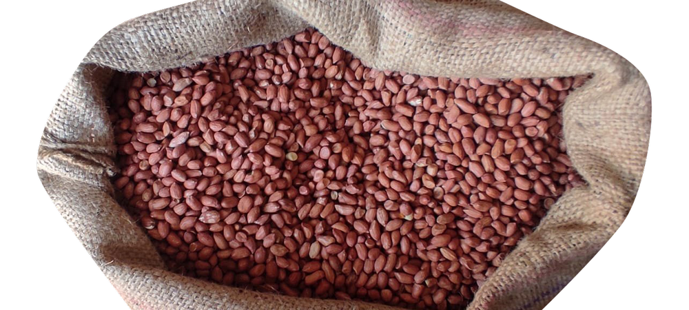 G20 Groundnut Kernels, Packaging Size: 50 kg