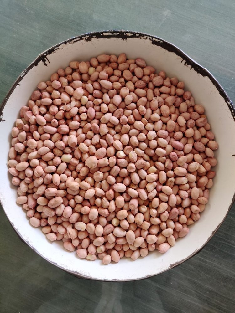 Groundnut Kernels, Gujarat, Packaging Size: 50 Kg