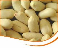 Blanched Peanut