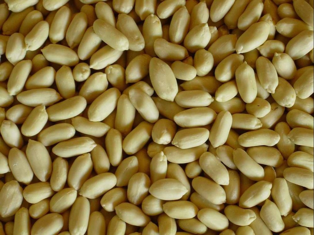Blanched Peanut, Packaging Type: PP Bag, Packaging Size: 50 Kg