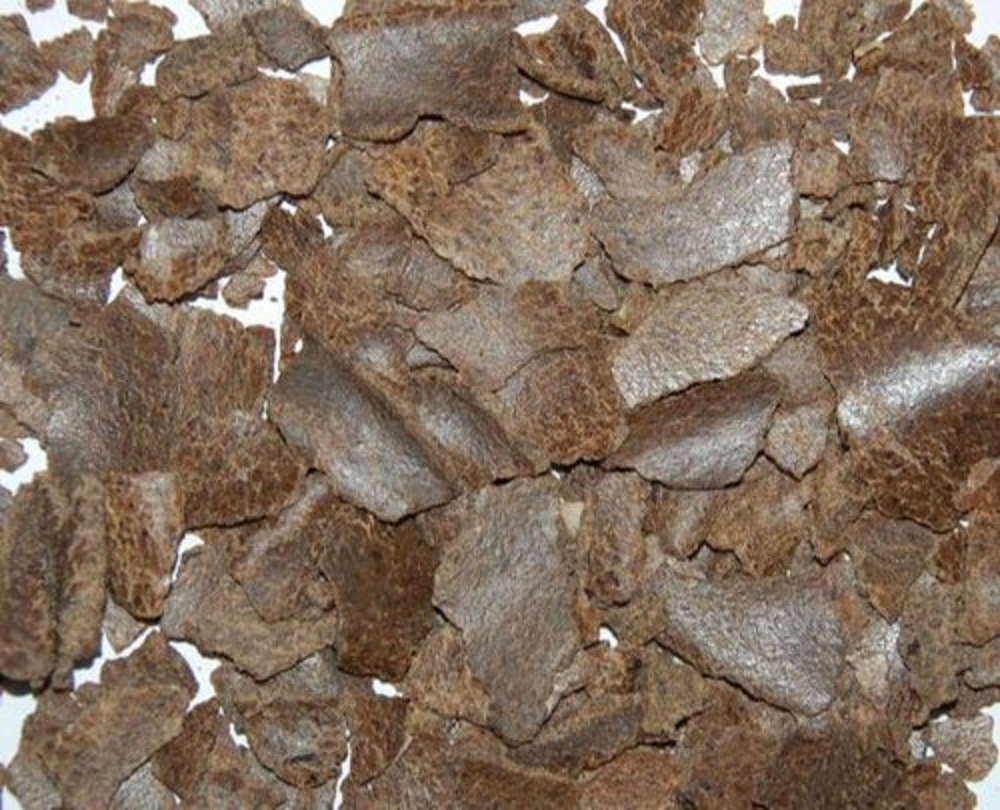 Groundnut Meal, Grade: Feed Grade