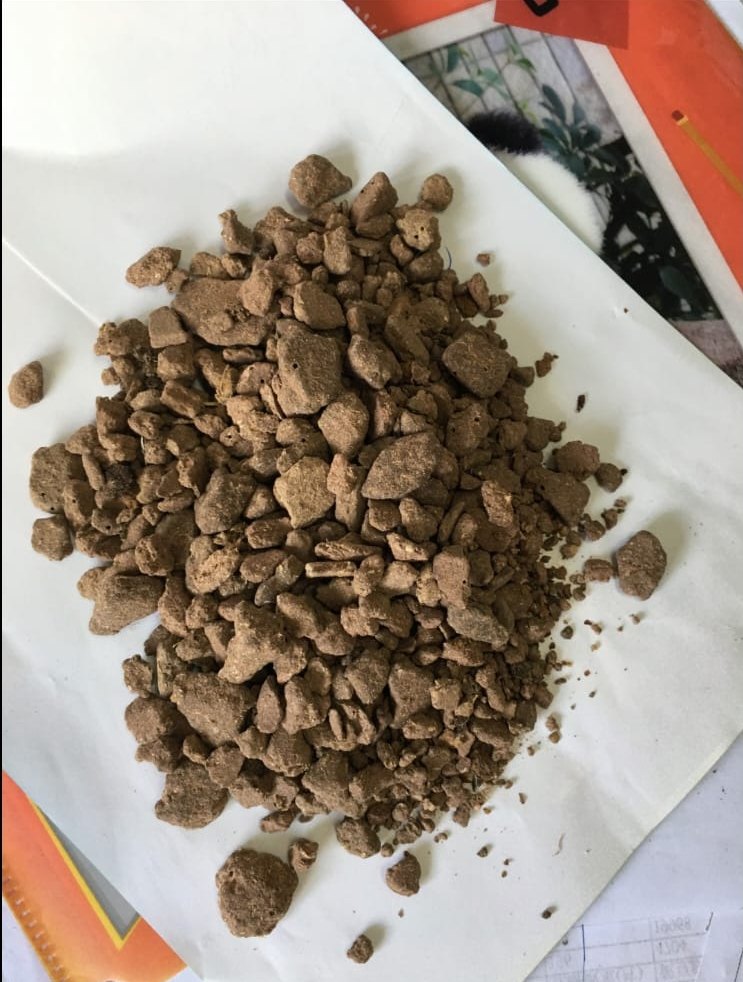 Indian Groundnut Extraction Meal