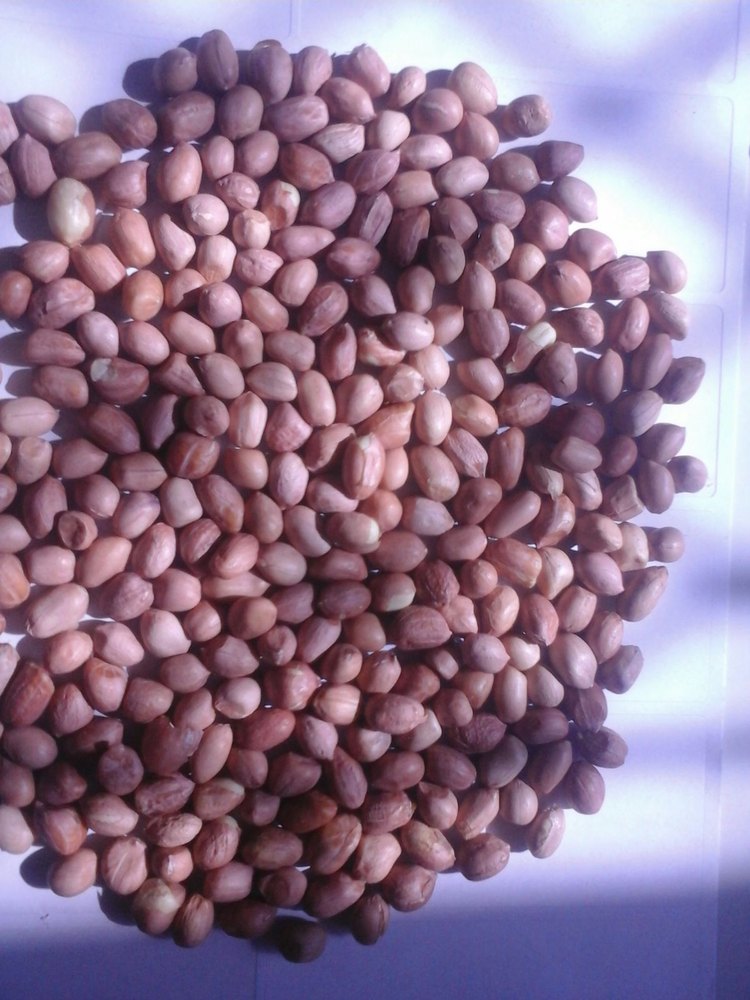 ASK Pink Java Peanut Bold & Blanched Peanuts Splits, Packaging Type: Plastic Box, Packaging Size: 25 Kg
