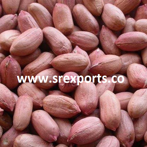 Ground Nut Kernel