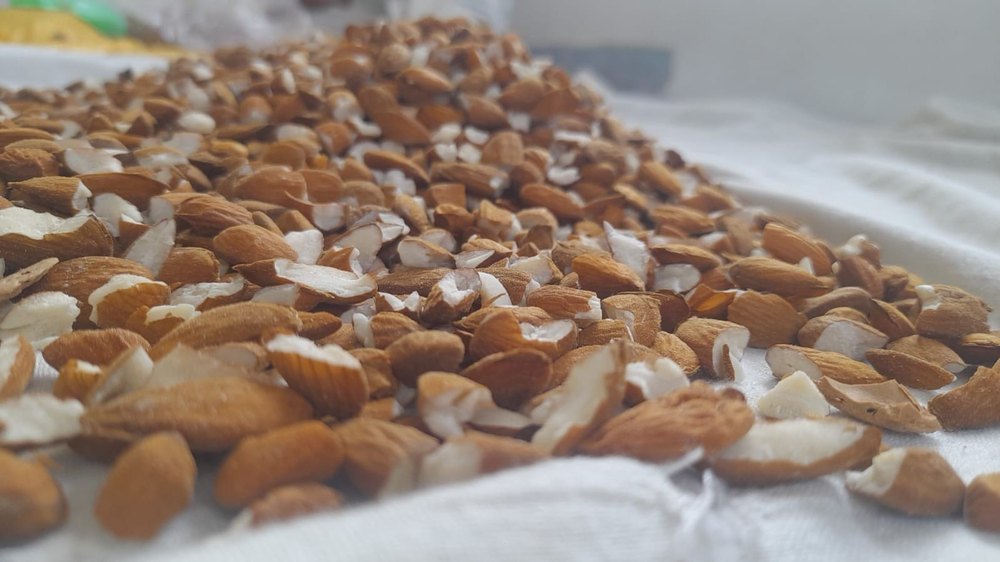 Broken Almond Nut(Oil Purpose)