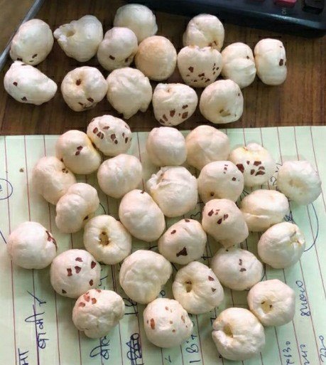 Makhana 5 Suta