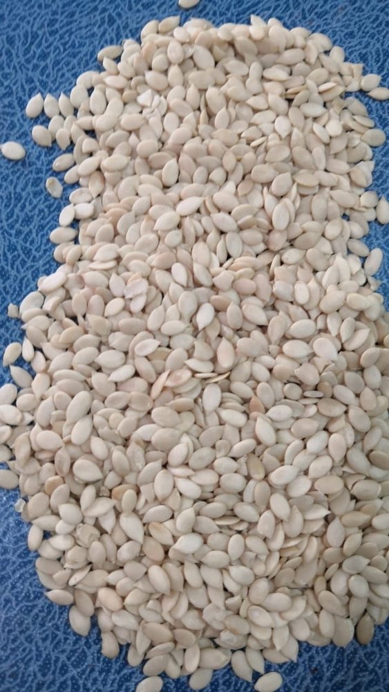 Natural Melon Kernel (Magaj), Packaging Type: In Jute Bags & Non Woven Bags, Packaging Size: 10 & 50 Kilograms