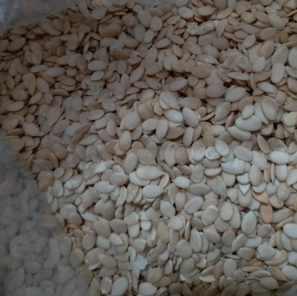 Watermelon Seeds Kernel