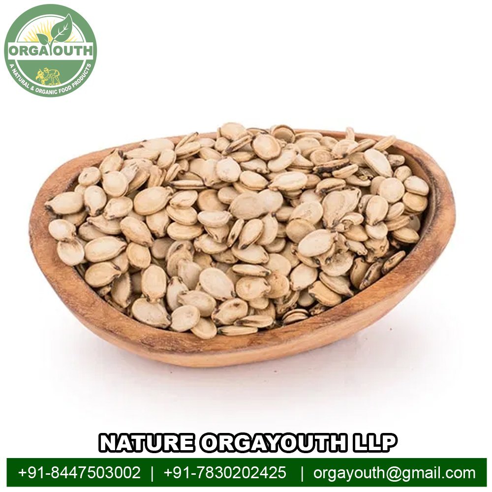 Organic Certified Watermelon Seed/ Magaj Seed