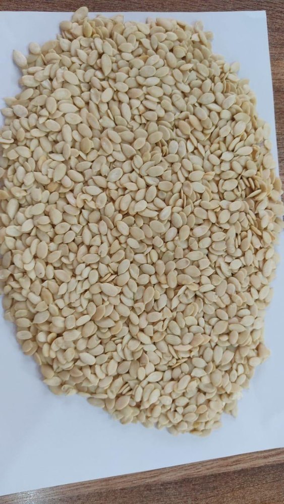 Watermelons Magaj Seed
