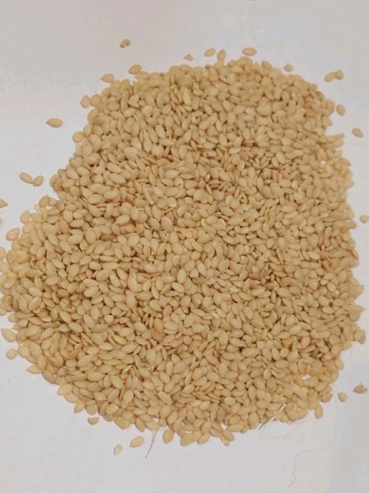 Natural Magajtari Seeds, Loose