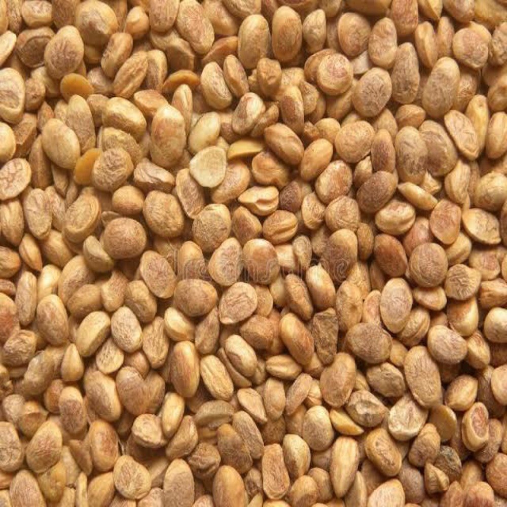 Brown Charoli Seed