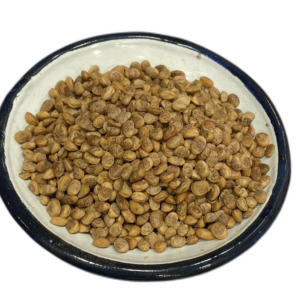 Brown Dry Chironji Seeds, Packaging Type: Loose