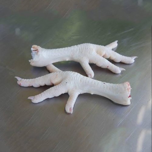 Frozen Chicken Feet, 5 Kg, Packaging Type: Packet