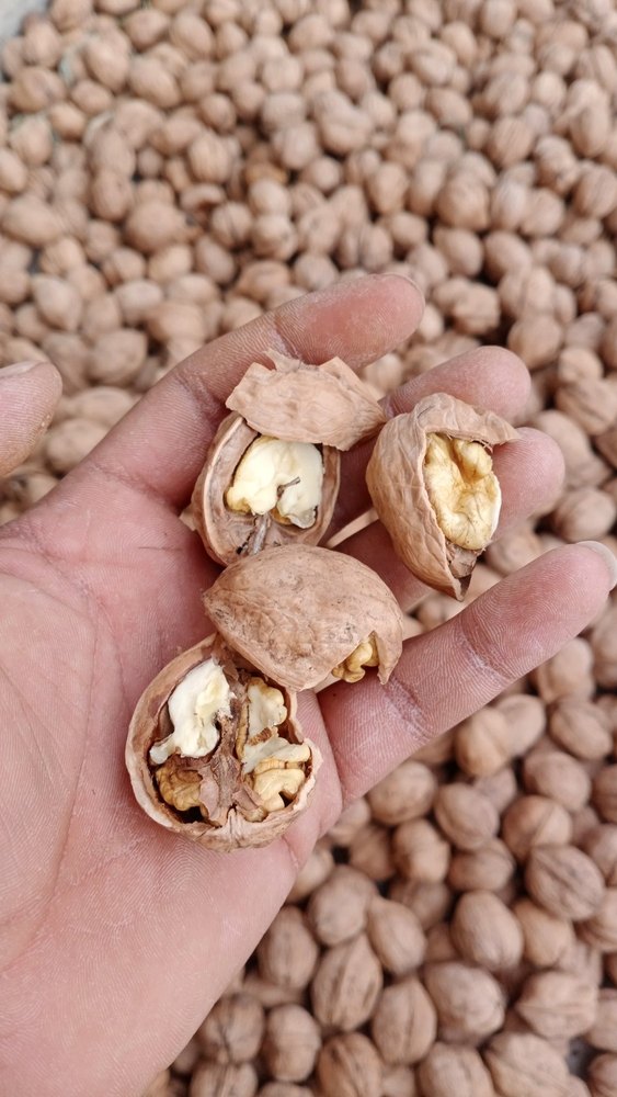 Organic Kashmiri Walnut, Packaging Type: Vacuum Bag, Packaging Size: 1 Kg