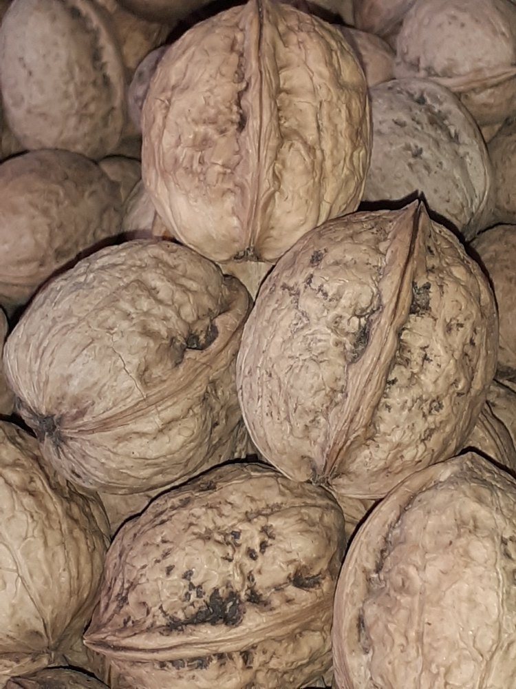 Kashmiri Walnut Organic
