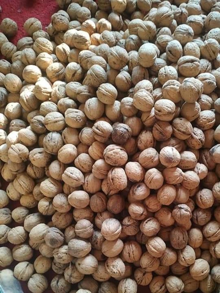 Organic Kashmiri Walnuts, Packaging Size: 5 kg, Packaging Type: Vacuum Bag