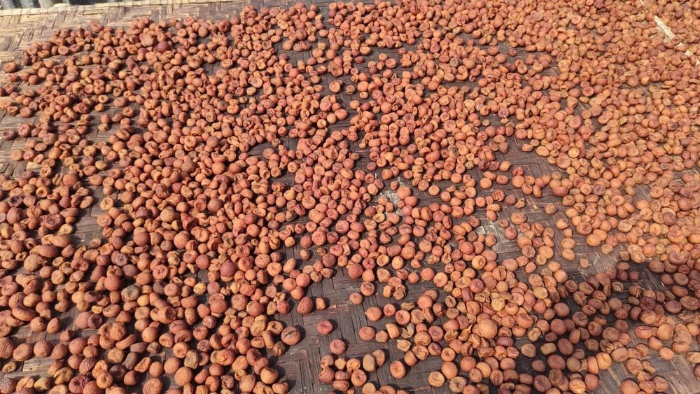 Gulab Supari Areca Nut, Loose