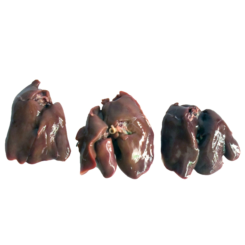 Chicken Liver