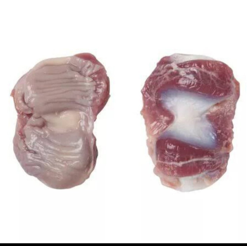 Frozen Chicken Gizzard, For Restaurant, 2 kg