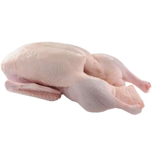 Indian Whole Duck