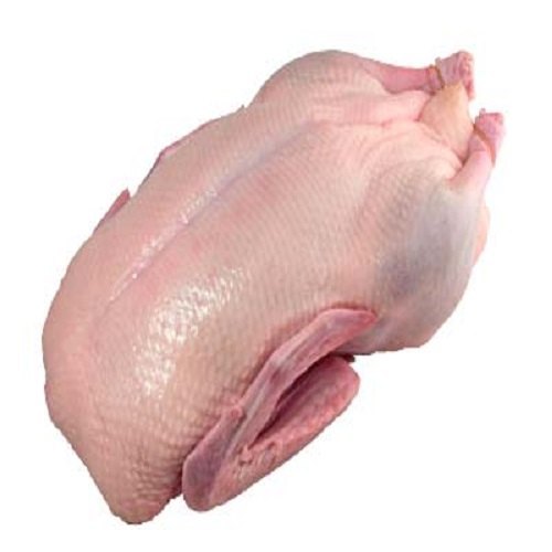 Imported Whole Duck Griller