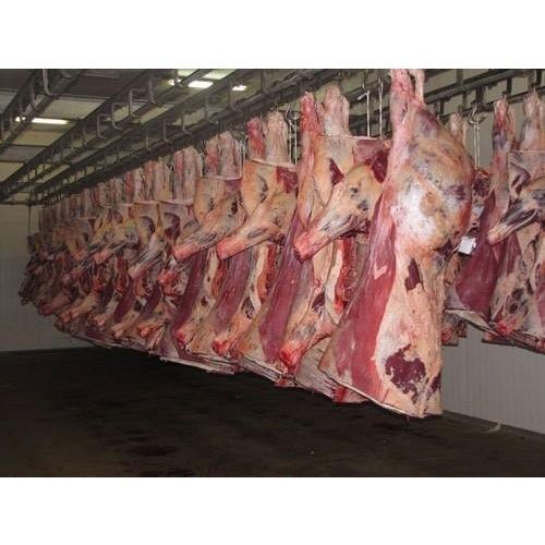 Fresh Frozen Halal Buffalo Meat, Food Grade: Grade A