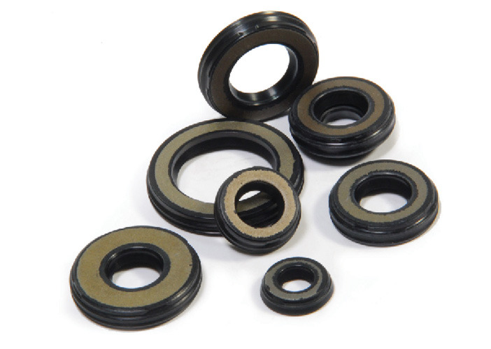 Gas Compressor Packing Ring