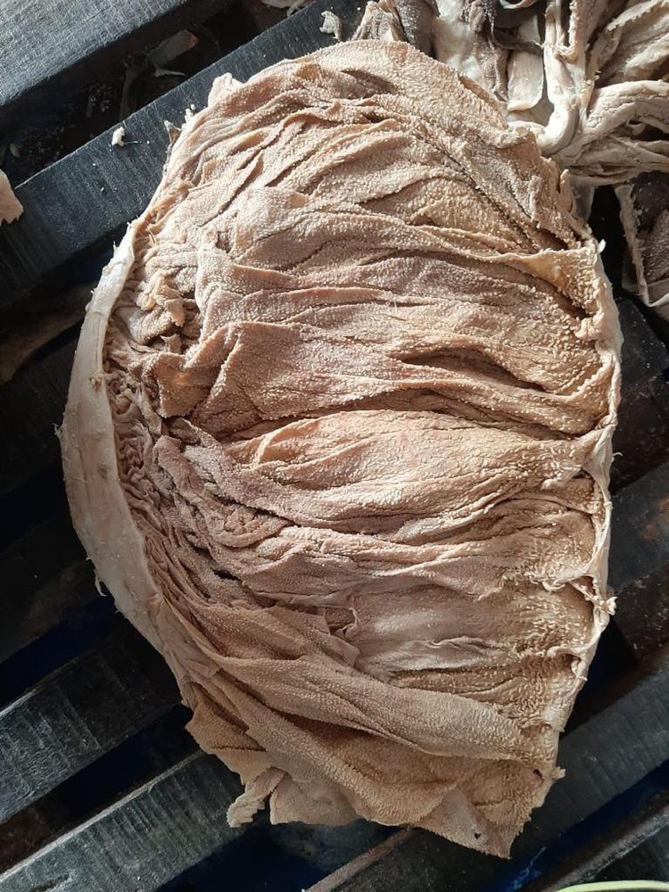 Salted Buffalo Omasum, Food Grade: AAA