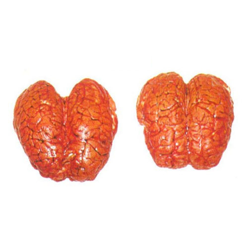 Buffalo Offals Brain