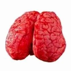 Buffalo Brain Meat