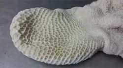 Buffalo-Meat -Cooked-Tripes Honeycomb