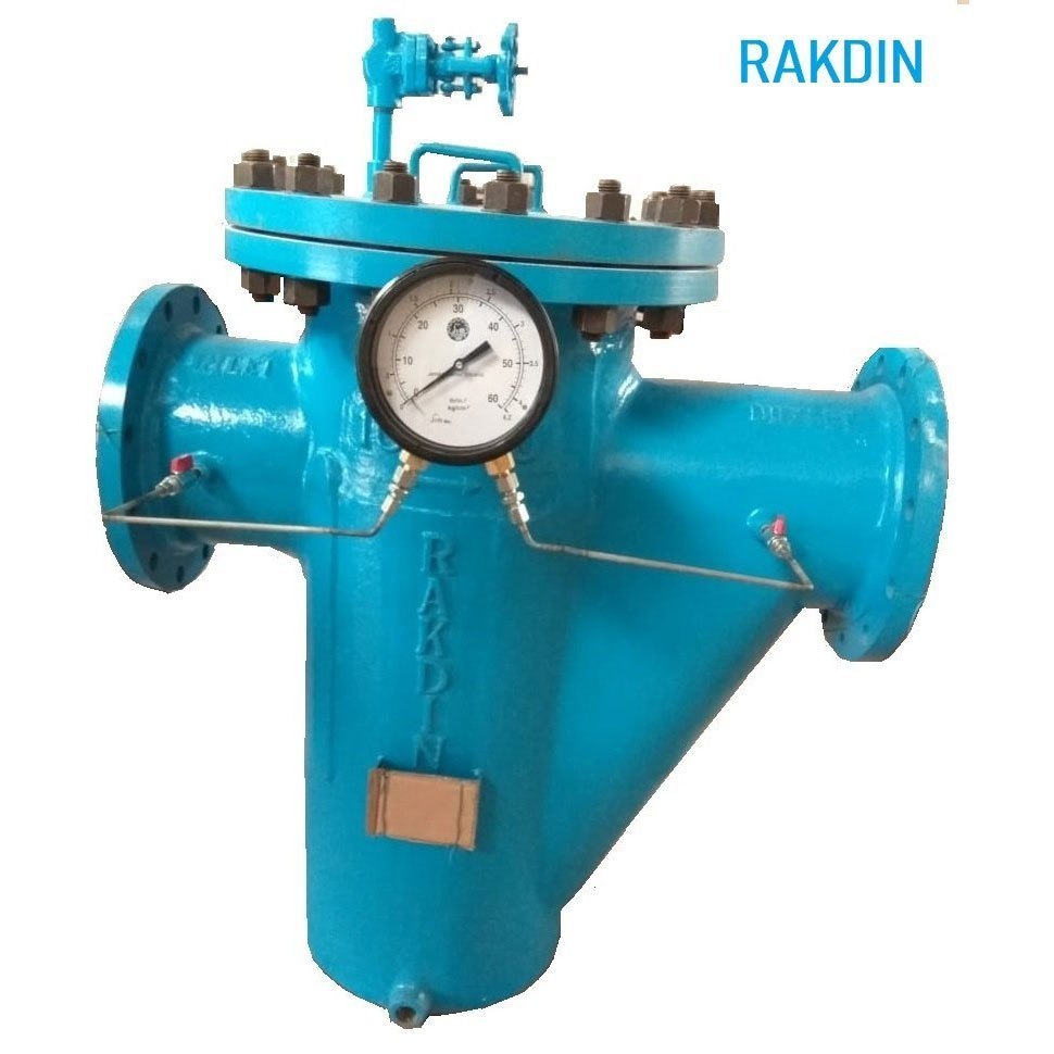 Simplex Basket Filter
