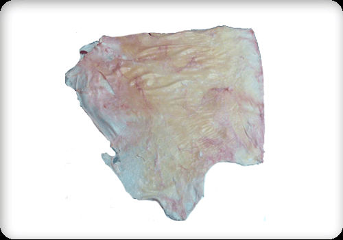 Buffalo Flank