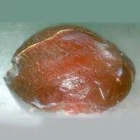 Frozen Buffalo Flank
