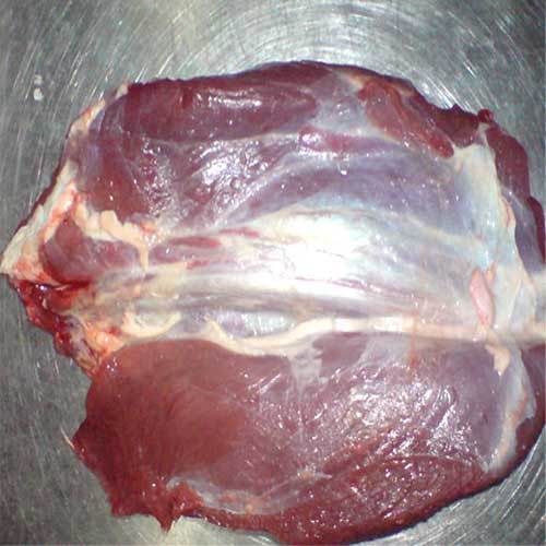 Knuckle & Thick Flank IWP