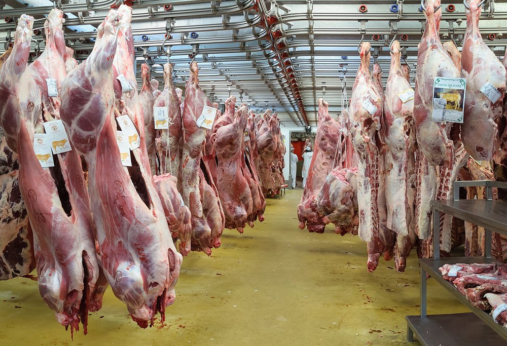 Slaughtered Meat, Packaging: Bag