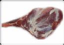 Goat Sheep Shoulder