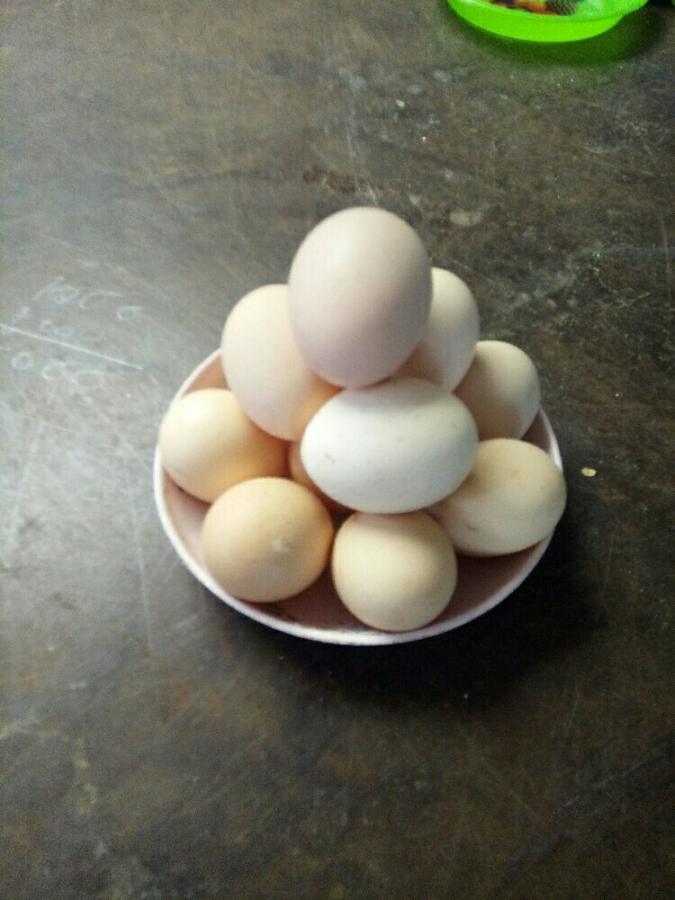 KA Light Brown Country Chicken Eggs